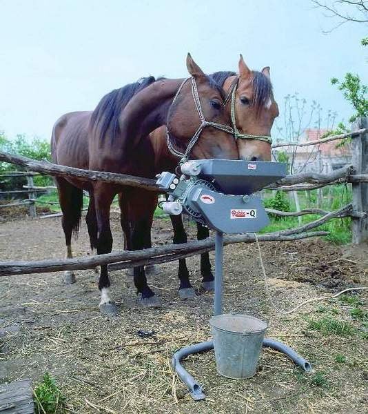 Állategészség védelem: A proteázinhibitorok