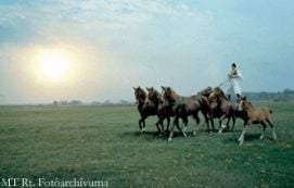 Hortobágyi Nemzeti Park