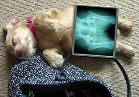 Idegen test a gyomorban