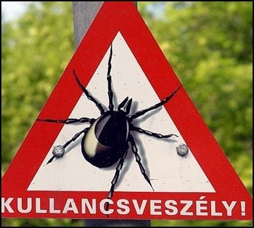 Védekezés a kullancs ellen