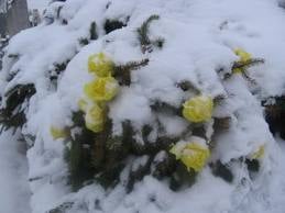 Szerettünk elvesztése