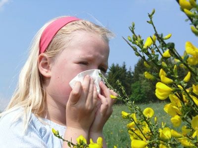 Hogyan kezelhetjük az allergiát?