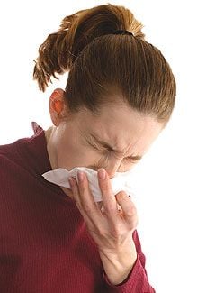 Rhinitis allergia