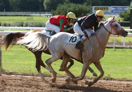 Galopp – a legnépszerűbb lósport