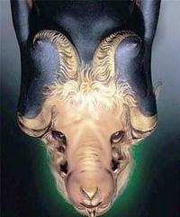 Fogyj a csillagjegyed szerint – BAK