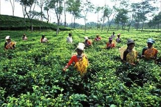 A világ országai – Banglades