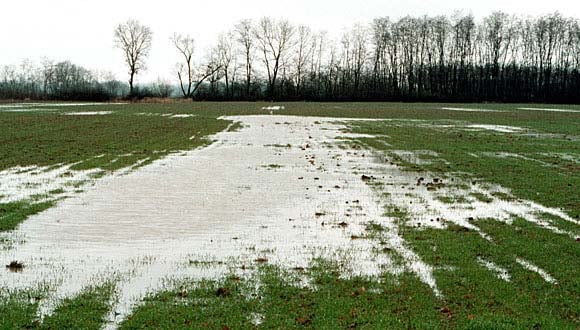 A gazdaság új életfeltételei a térség országaiban