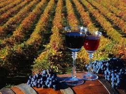 Vörösbor és szőlőlé