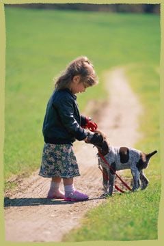 Gyerekek és a háziállatok