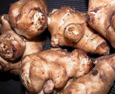 Csicsóka – A szegények krumplija