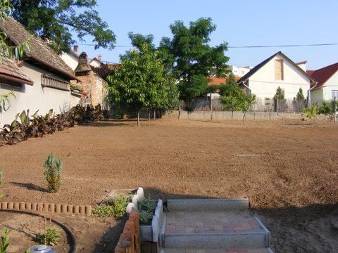 A jó területkiválasztás elősegíti a termesztés sikerét