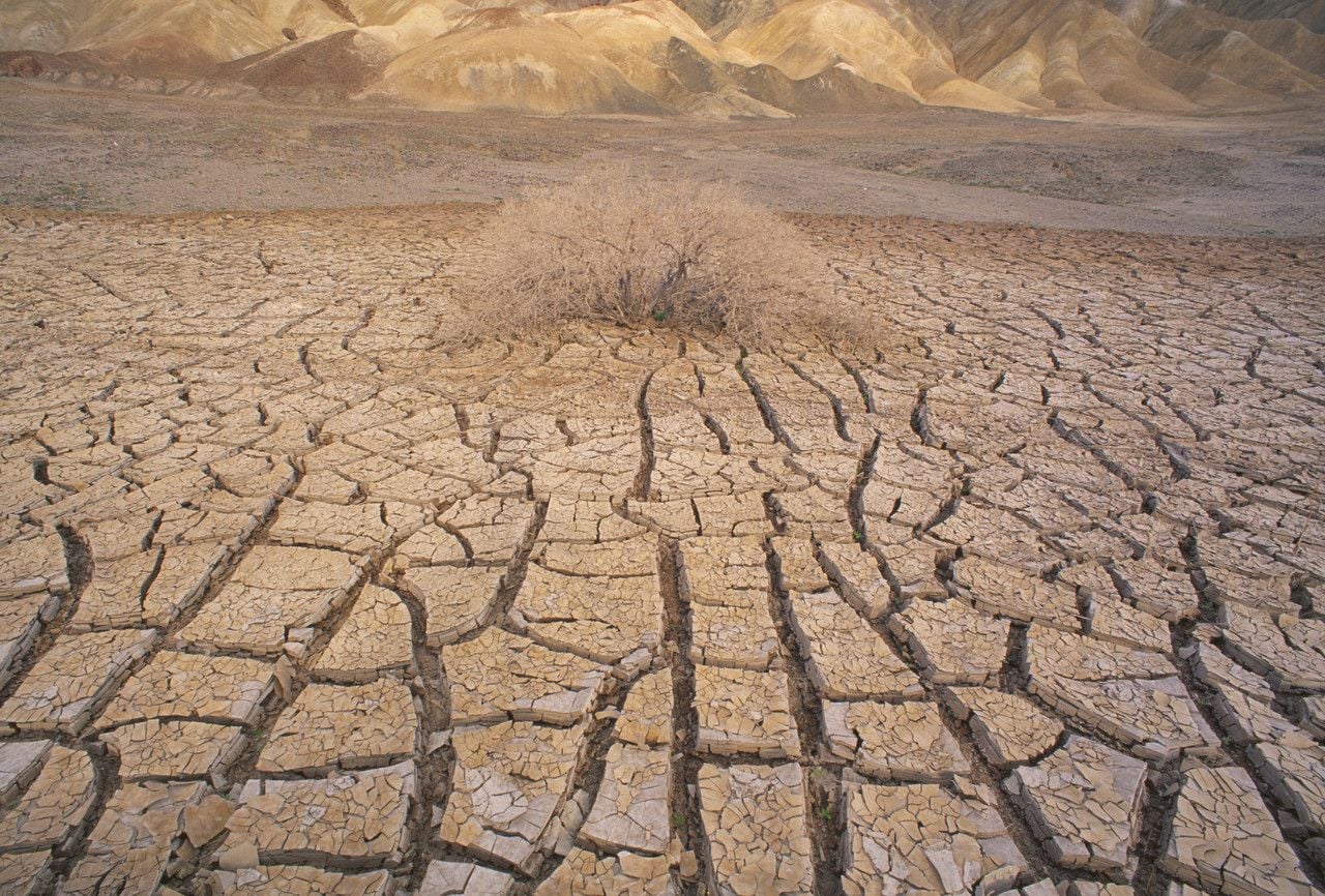 A száraz bőr ápolása