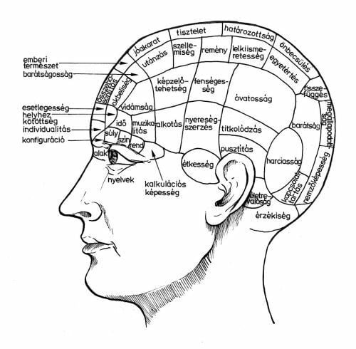 Különböző memória-fajták és a tanulás hatékonysága