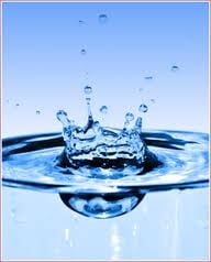 Szervezetünk folyadékterei