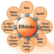 Az elhízás veszélyei