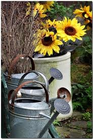 Az öntözés lendülete