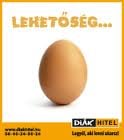 Diákhitel
