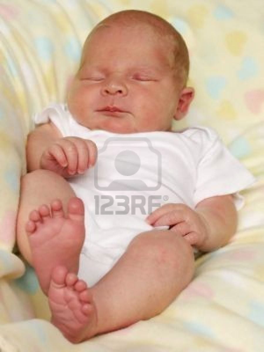 A bőr és a nemi szervek