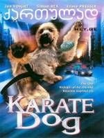 Karate kutya