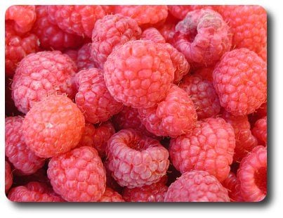 Málnafagylalt-torta