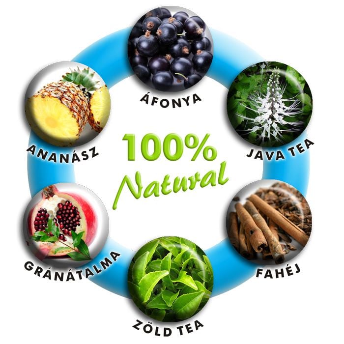 EasyFit vagyis Rapid Fat Loss System