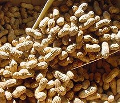 A földimogyoró-allergia