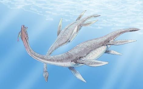 Plezioszaurusz