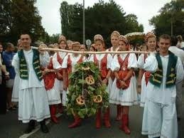 Borfajták