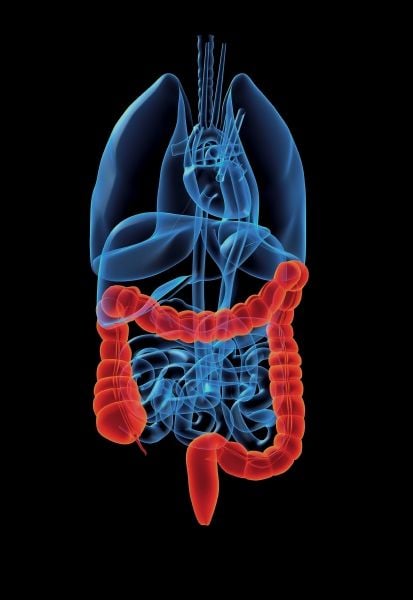 Az emésztéssel járó problémák