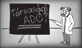 Társasági adó- TAO