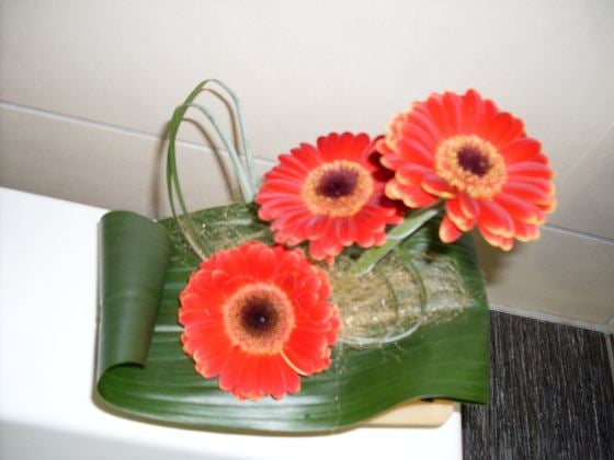 Randi és ismerkedés