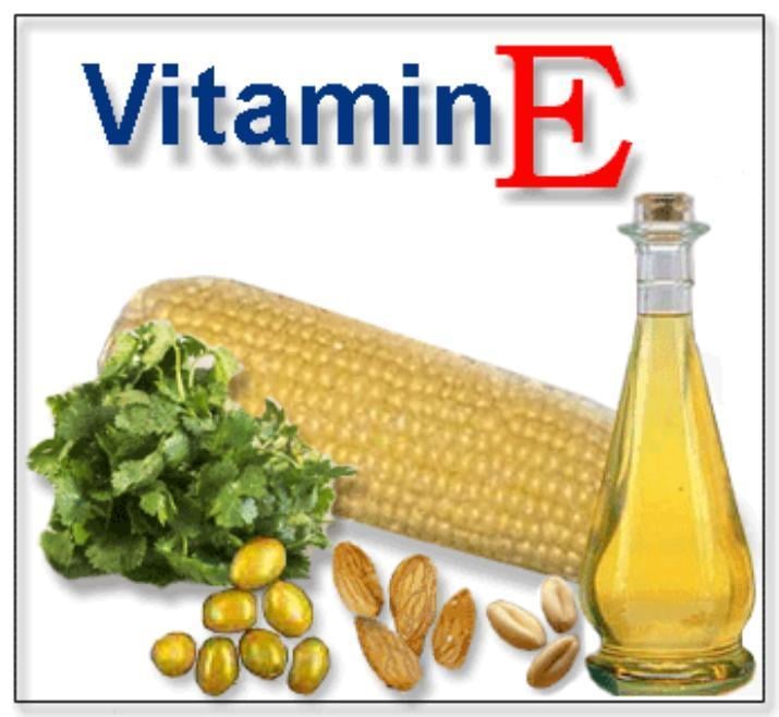 Az E-vitamin