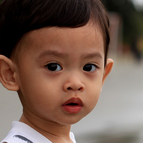 KEFE