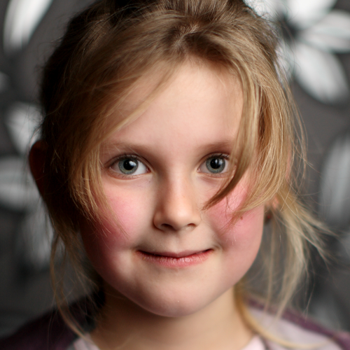 Sverigesfana