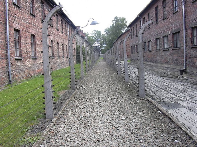 A Holokauszt adatai