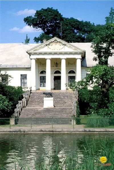 Szarvas