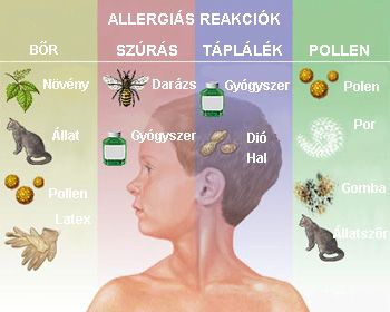 Milyen allergiánk van?
