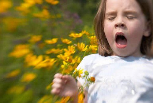 Pollen allergia &#8211; amivel szinte minden ember küszködik