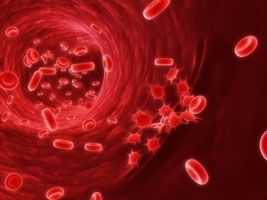 A K &#8211; vitamin és a vérzékenység
