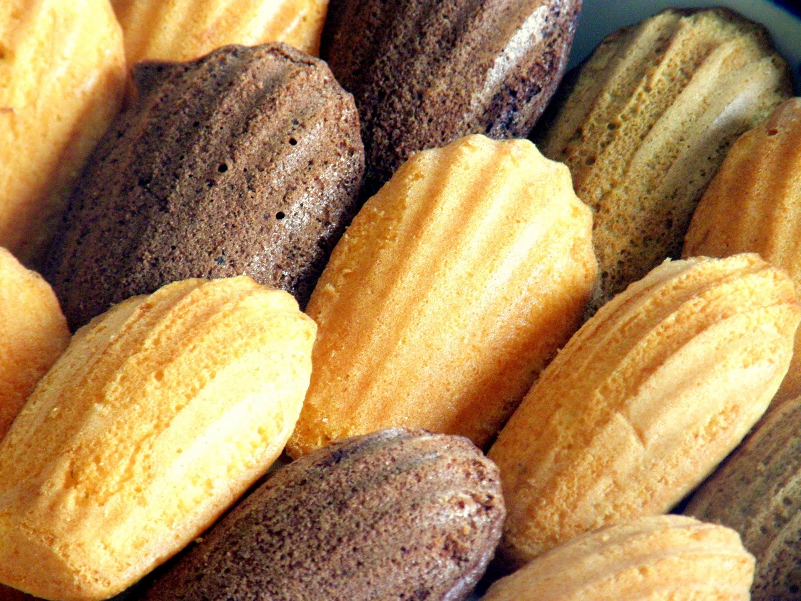 Madeleine | LifePress